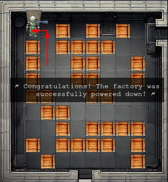 Solve Puzzle Step 10